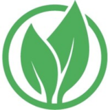 Next Energy logo square
